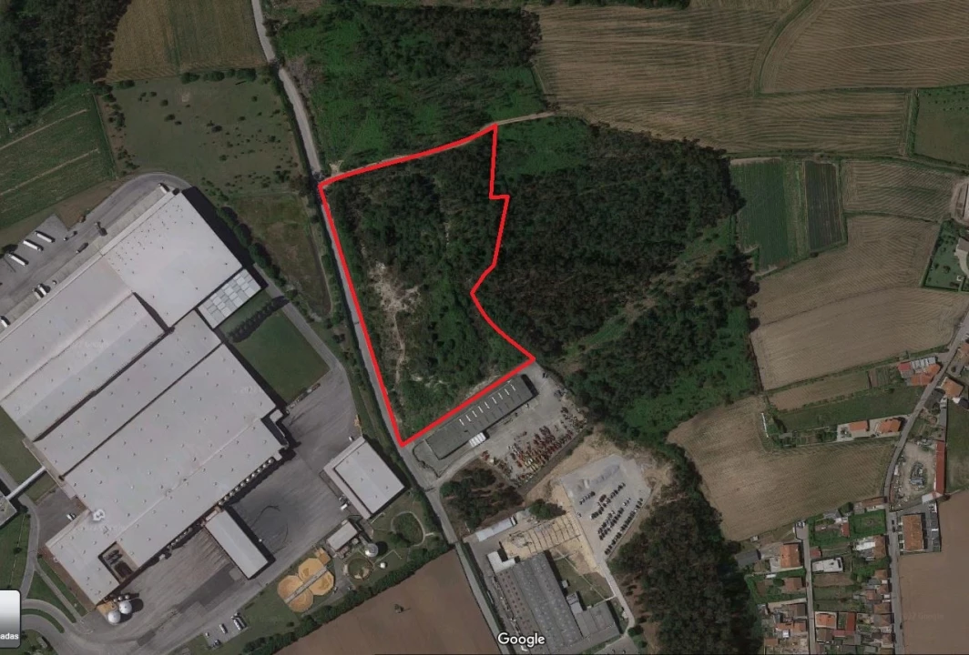 Terreno para Venda em Modivas Foto 3