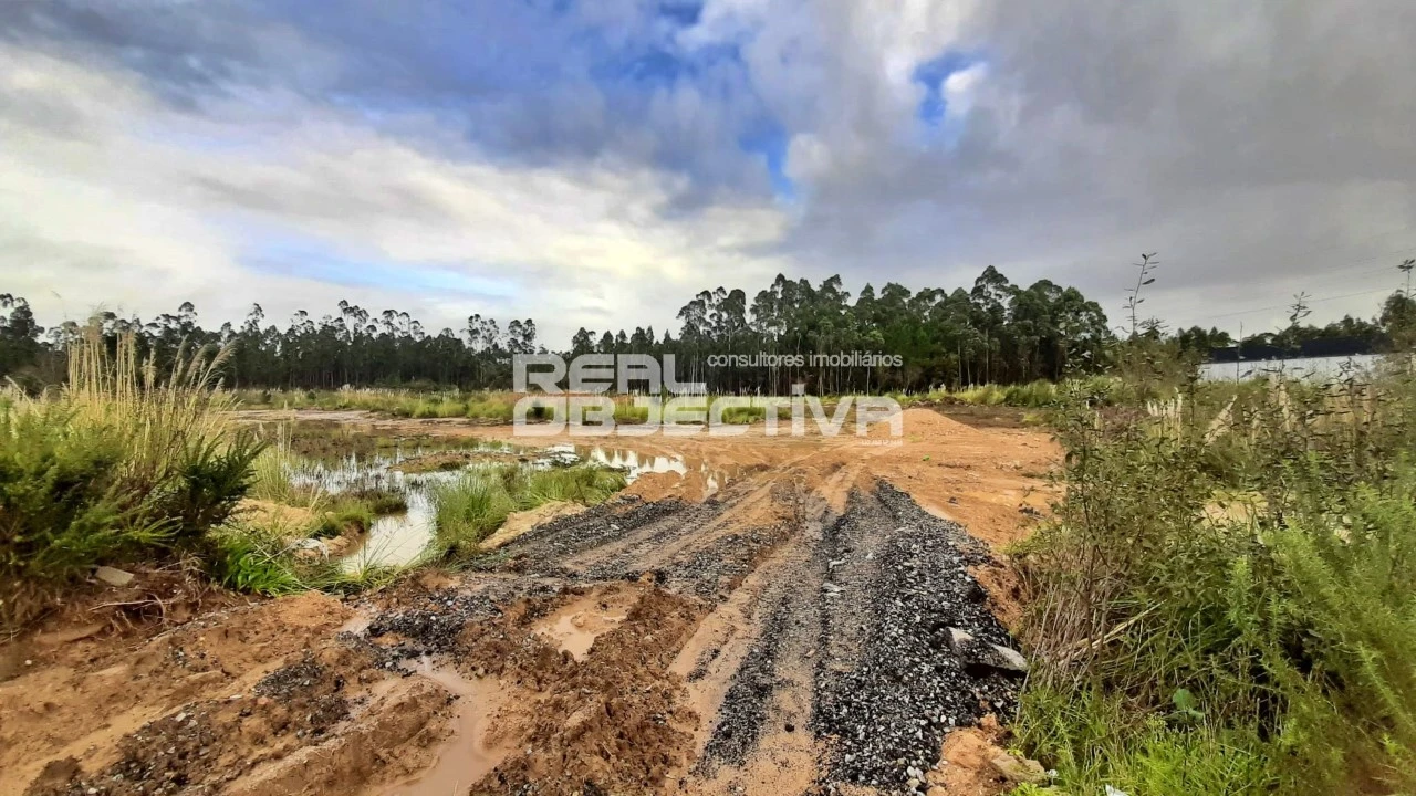 Terreno para Venda em Modivas Foto 11