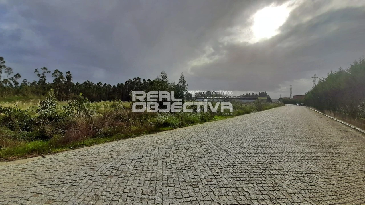 Terreno para Venda em Modivas Foto 9