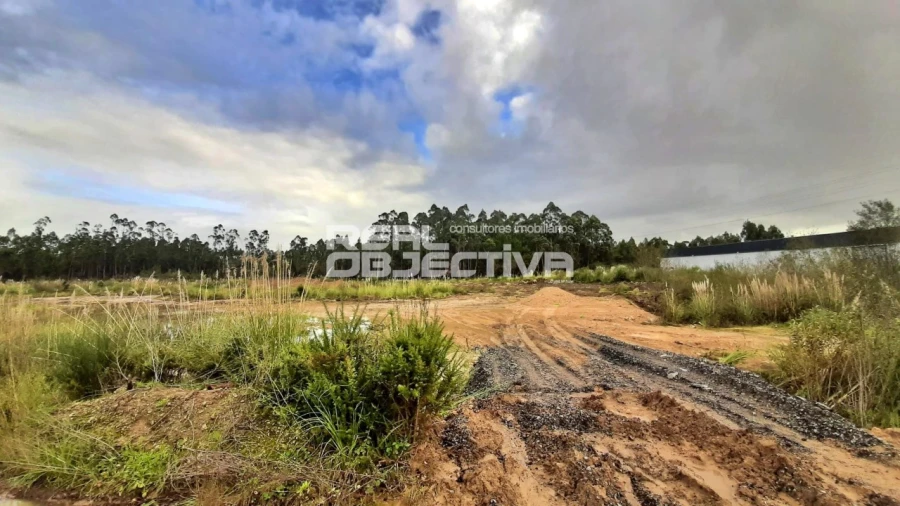Terreno para Venda em Modivas Foto 8