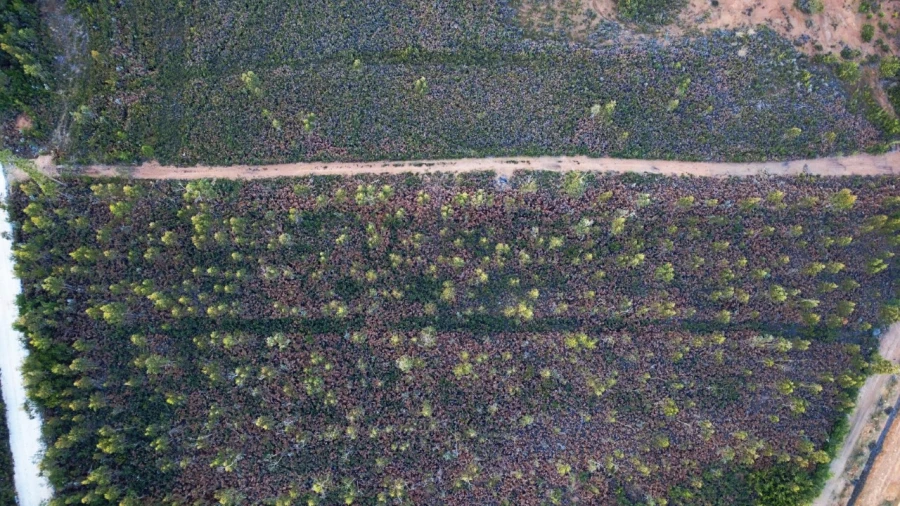 Terreno para Venda em Albergaria-A-Velha e Valmaior Foto 4