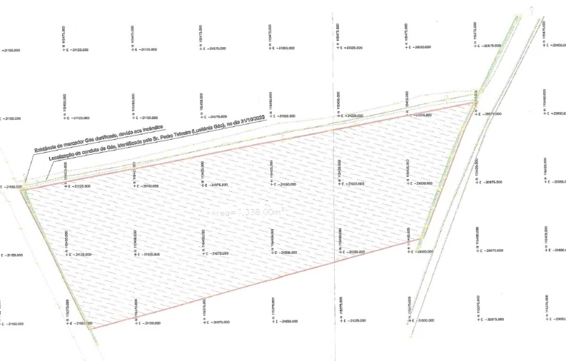 Terreno para Venda em Albergaria-A-Velha e Valmaior Foto 5