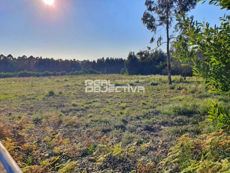 Terreno para Venda em Rio Meão Foto 1