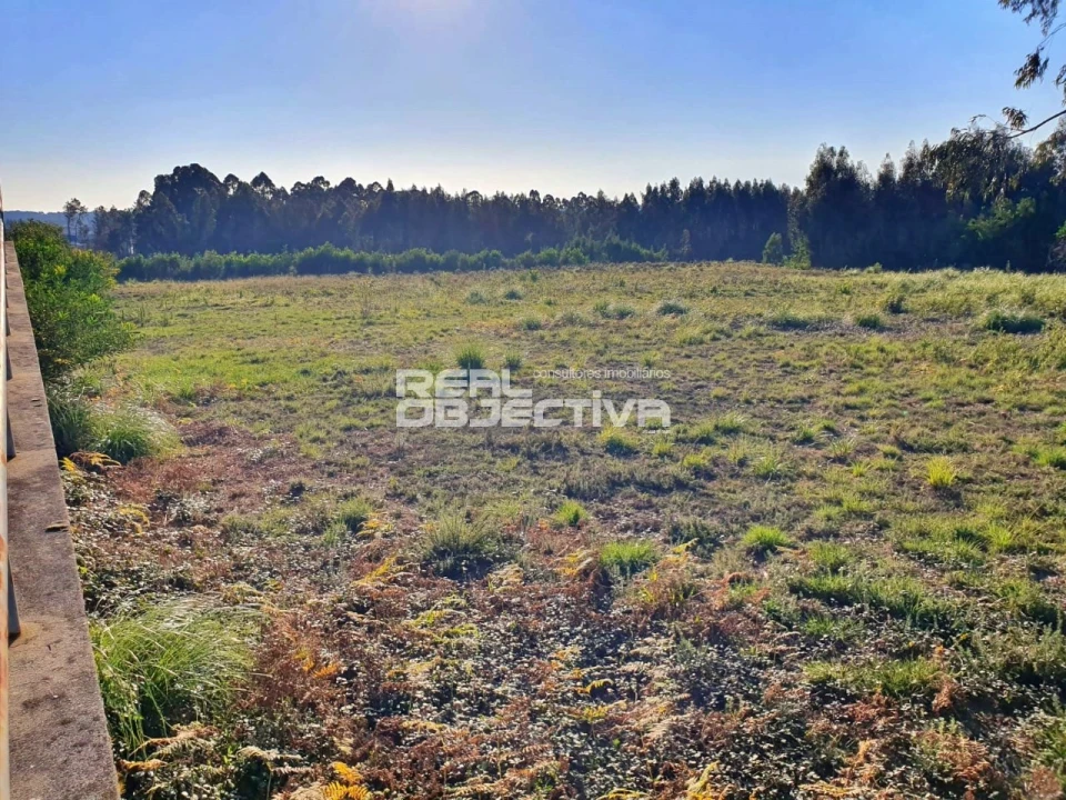 Terreno para Venda em Rio Meão Foto 3