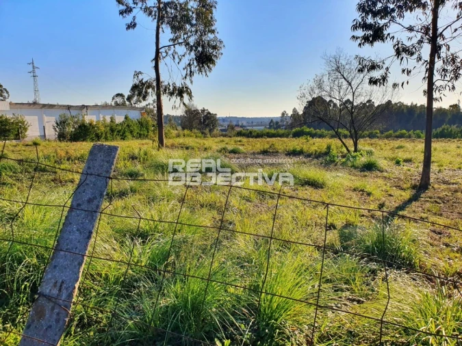 Terreno para Venda em Rio Meão Foto 6