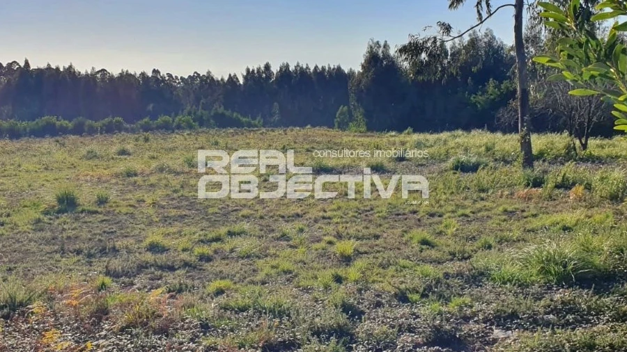 Terreno para Venda em Rio Meão