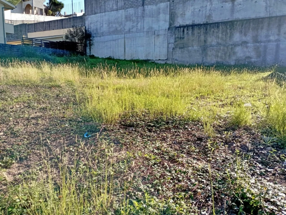 Terreno para Venda em Coronado (São Romão e São Mamede) Foto 2