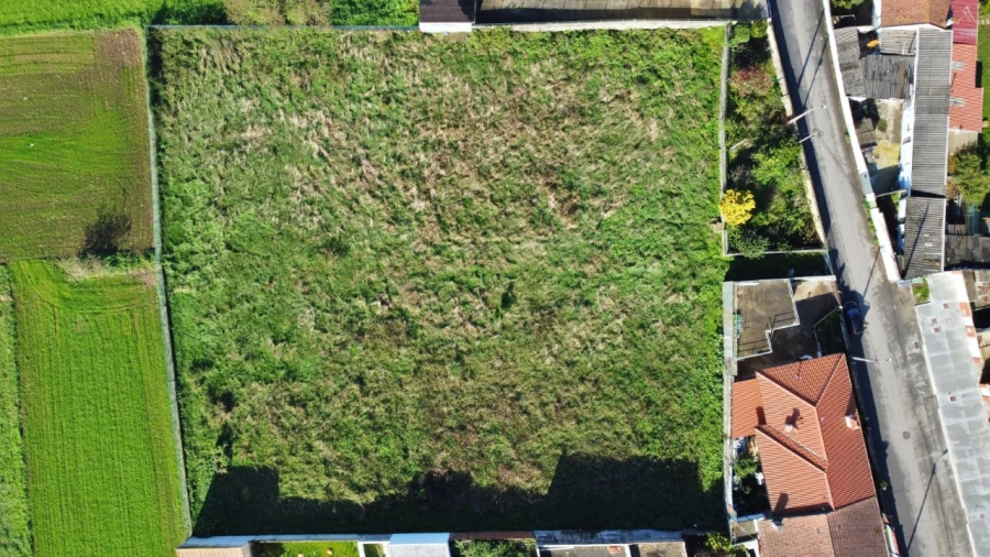 Terreno para Venda em Perafita, Lavra e Santa Cruz do Bispo Foto 14