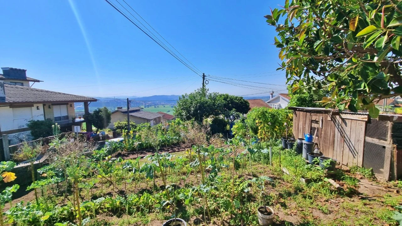 Terreno para Venda em Coronado (São Romão e São Mamede) Foto 11