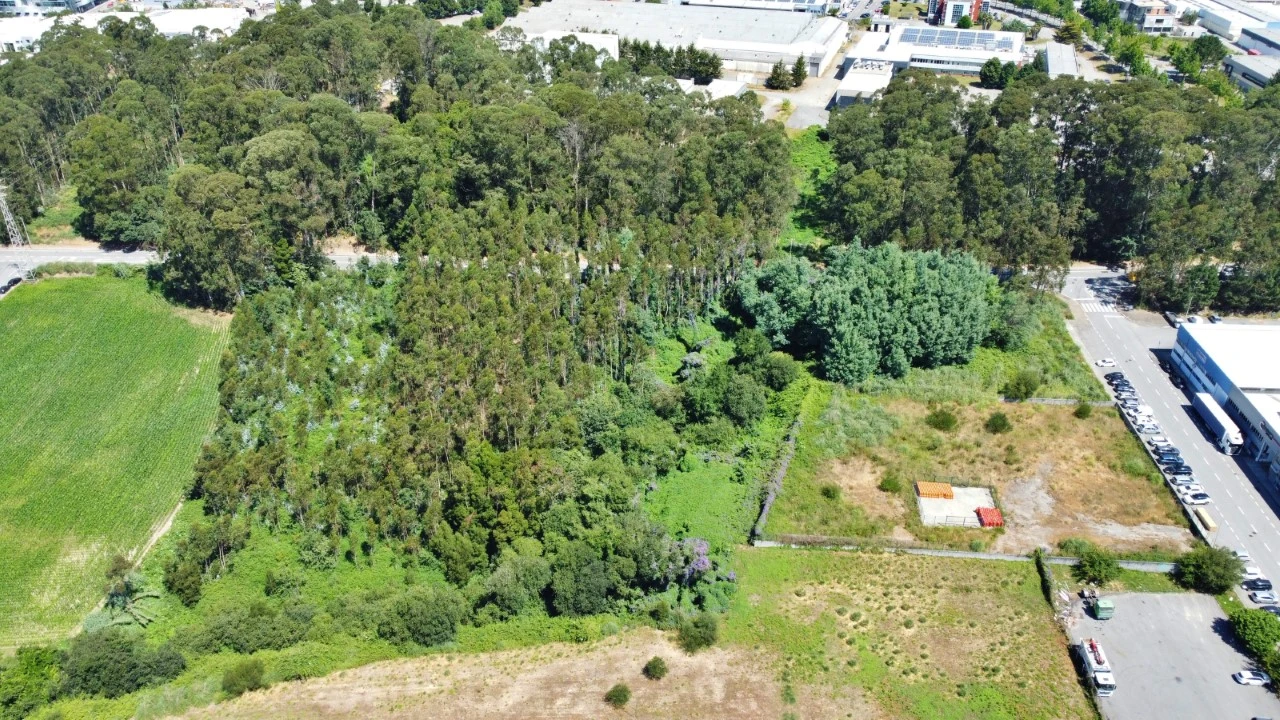 Terreno para Venda em Moreira Foto 3