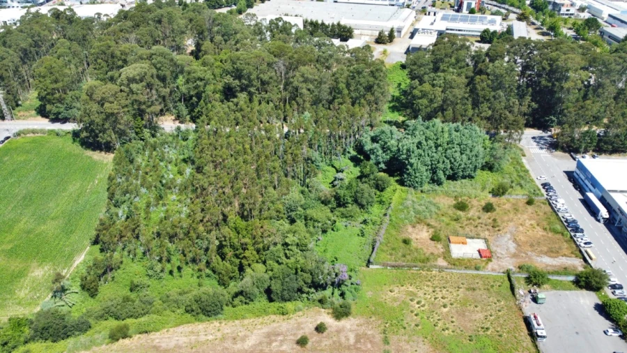 Terreno para Venda em Moreira Foto 3