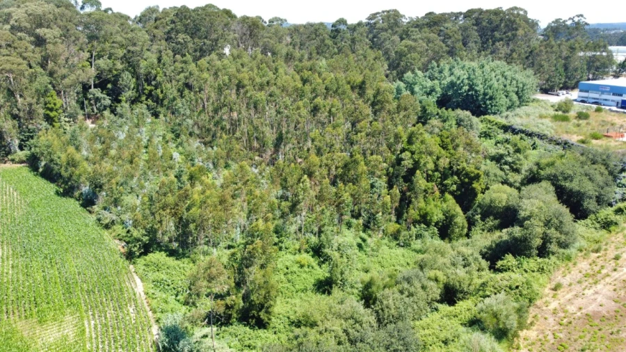 Terreno para Venda em Moreira Foto 5