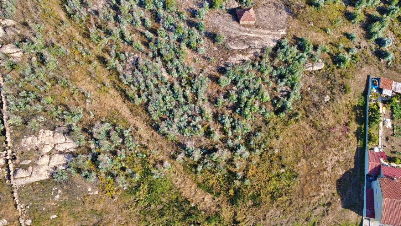 Terreno para Venda em Penafiel Foto 2