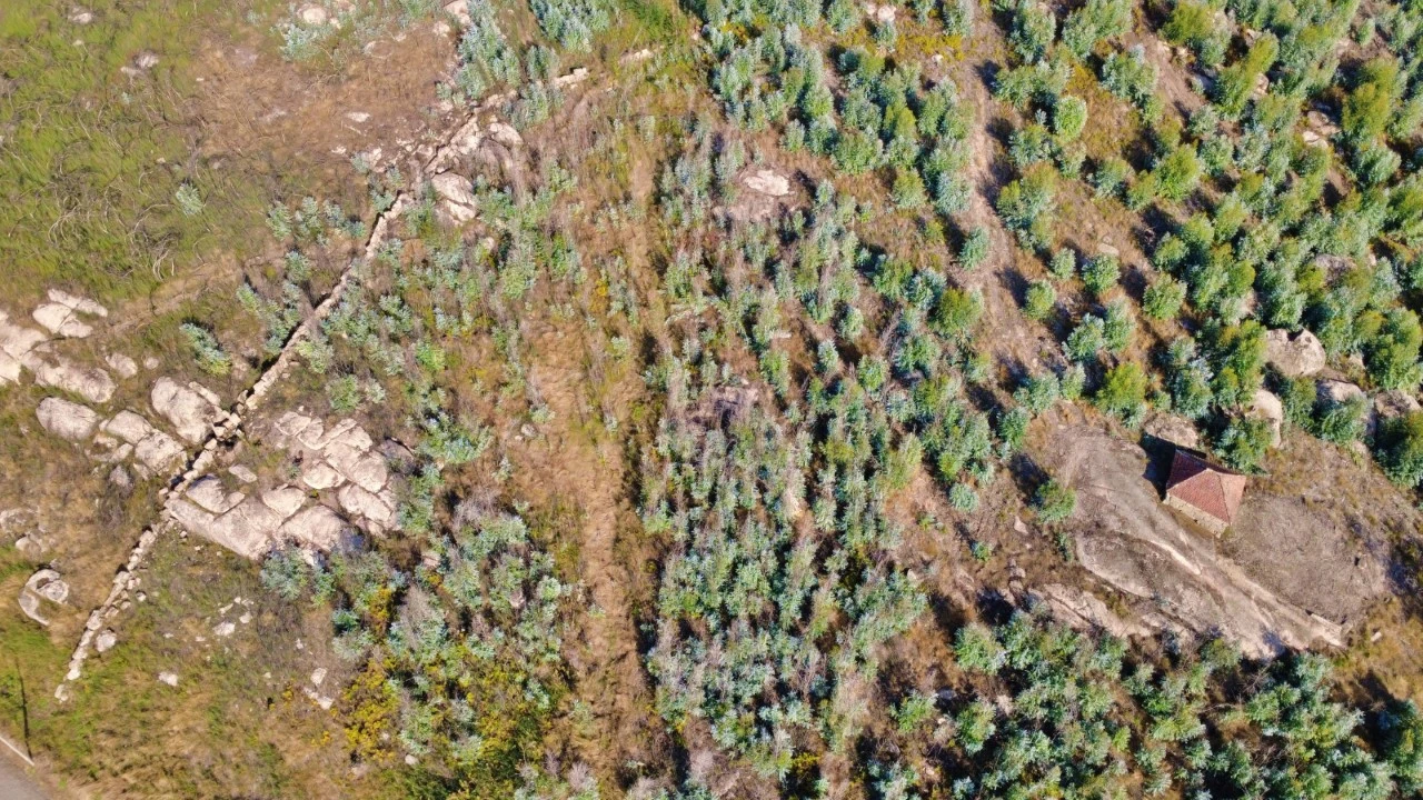 Terreno para Venda em Penafiel Foto 3