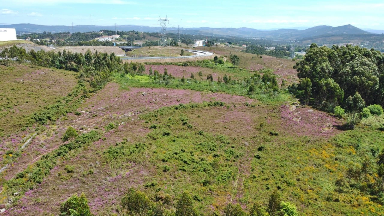 Terreno para Venda em Campo e Sobrado Foto 4
