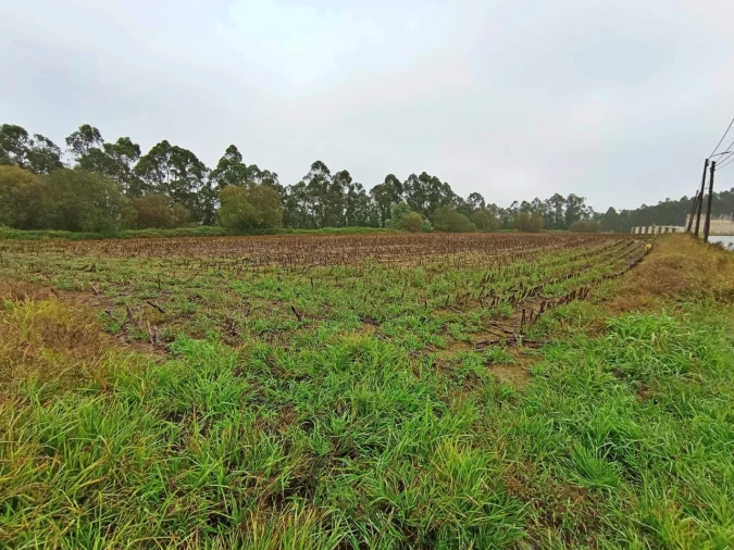 Terreno para Venda em Covelas Foto 4