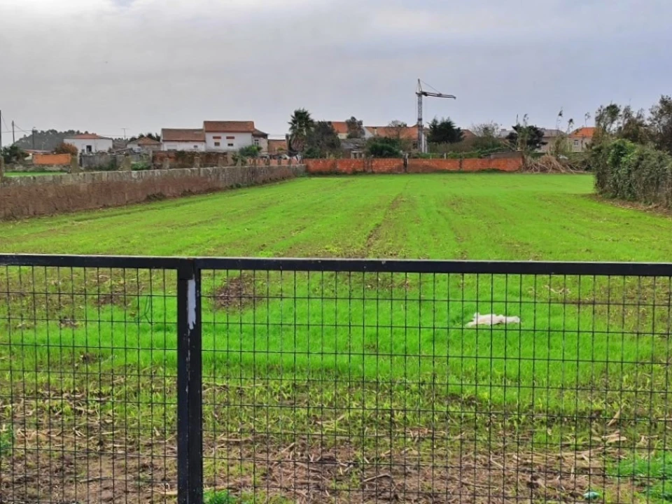 Terreno para Venda em Perafita, Lavra e Santa Cruz do Bispo Foto 5