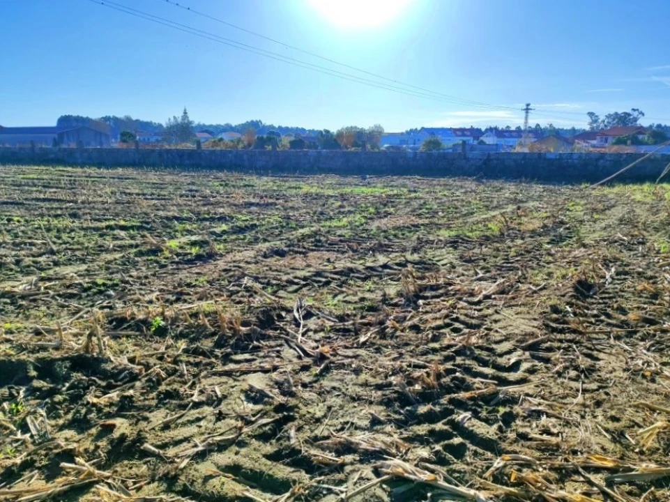 Terreno para Venda em Perafita, Lavra e Santa Cruz do Bispo Foto 6