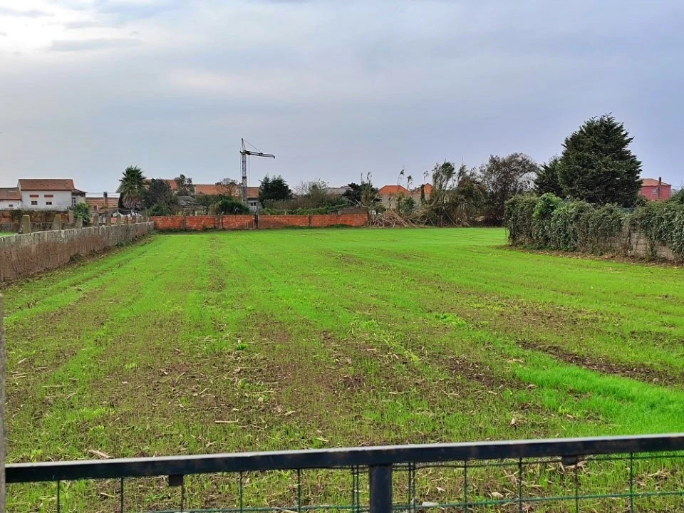 Terreno para Venda em Perafita, Lavra e Santa Cruz do Bispo Foto 8