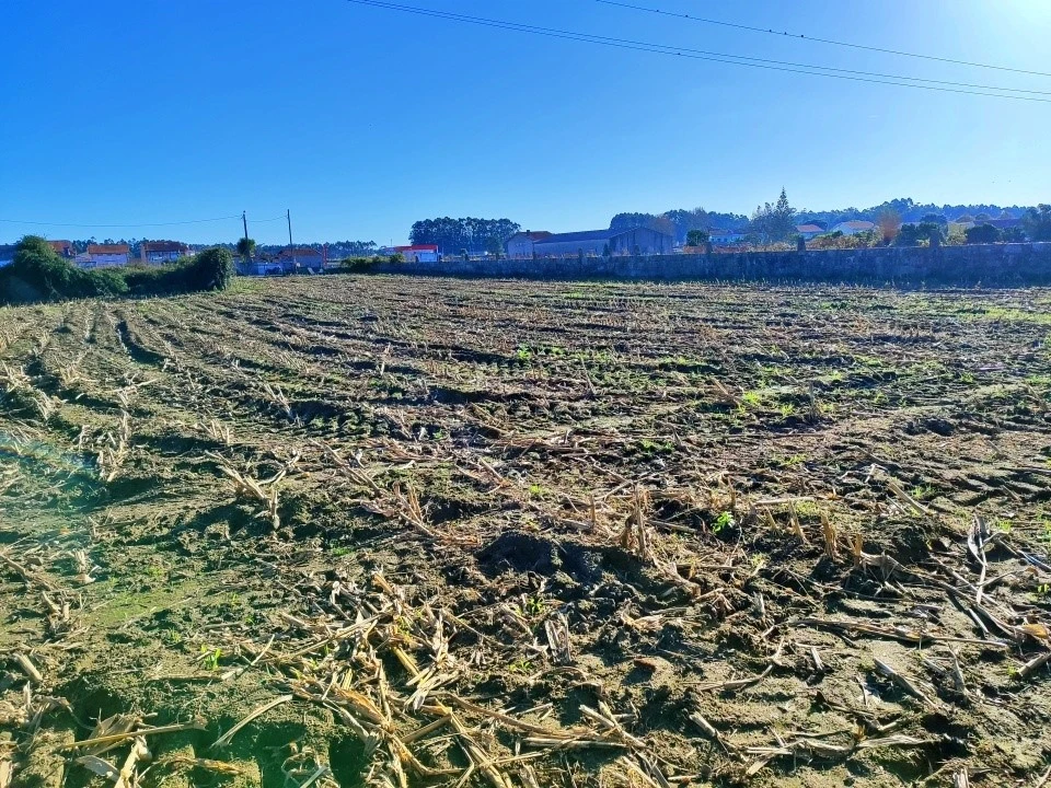 Terreno para Venda em Perafita, Lavra e Santa Cruz do Bispo Foto 10