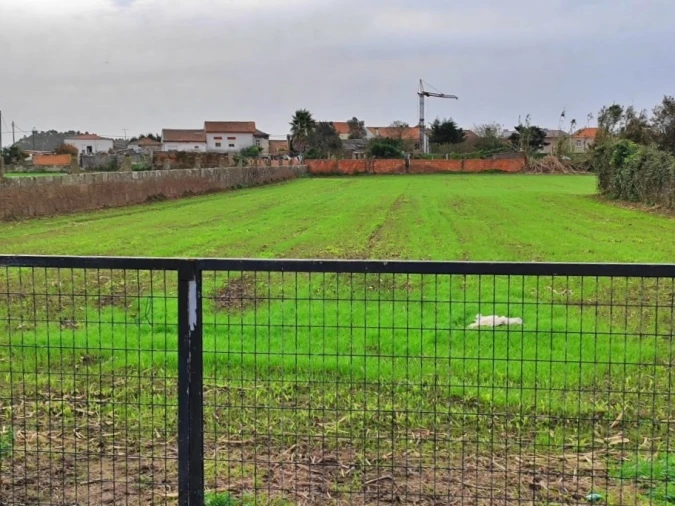 Terreno para Venda em Perafita, Lavra e Santa Cruz do Bispo Foto 5