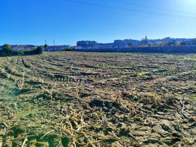 Terreno para Venda em Perafita, Lavra e Santa Cruz do Bispo Foto 10