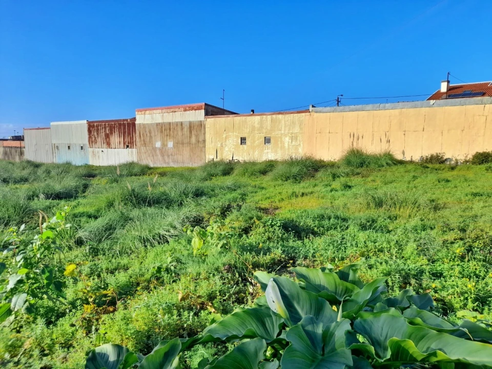 Terreno para Venda em Perafita, Lavra e Santa Cruz do Bispo Foto 2