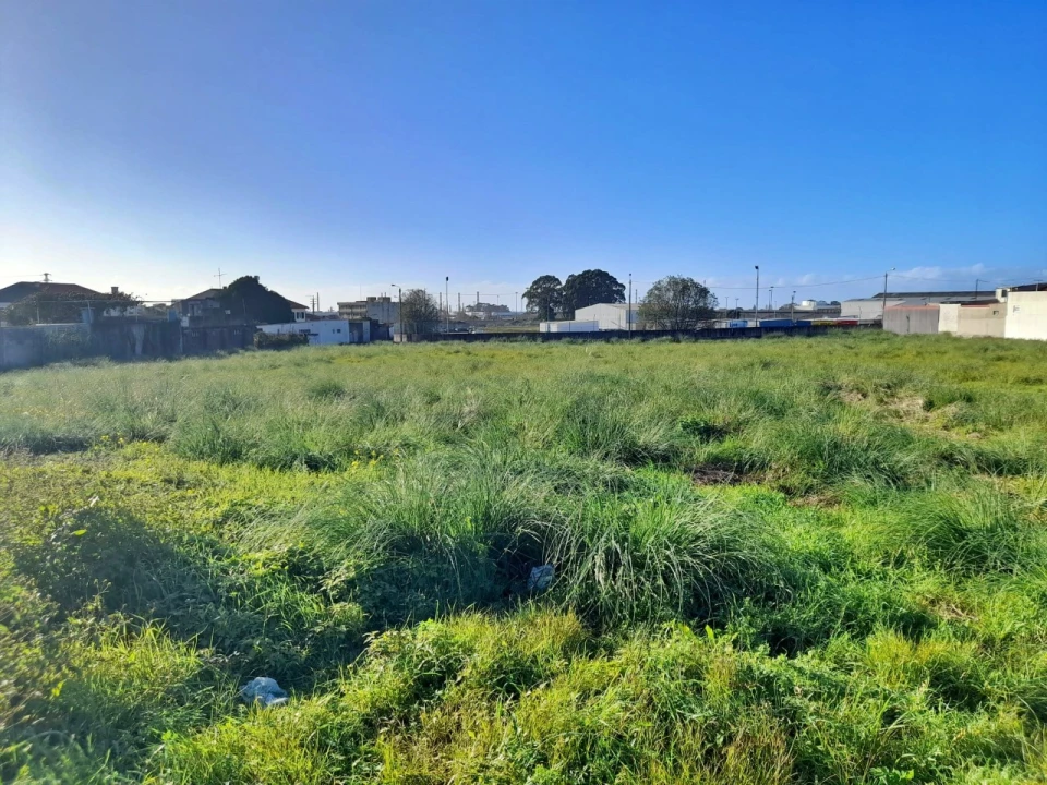 Terreno para Venda em Perafita, Lavra e Santa Cruz do Bispo Foto 6