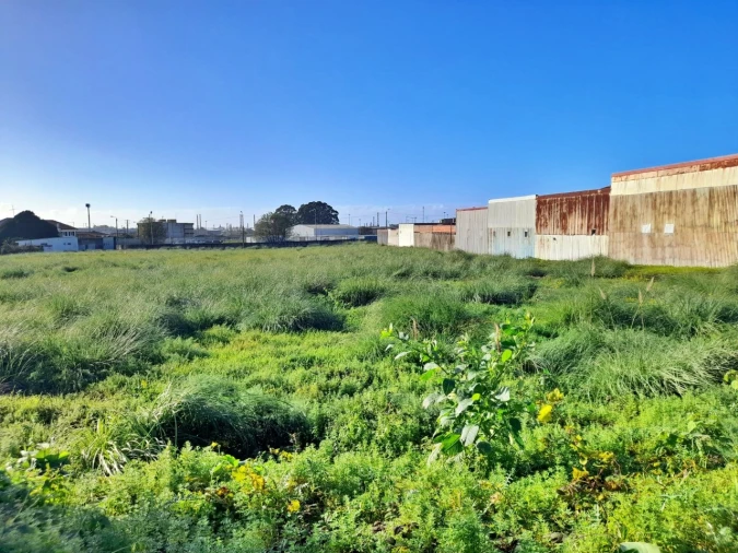 Terreno para Venda em Perafita, Lavra e Santa Cruz do Bispo Foto 3
