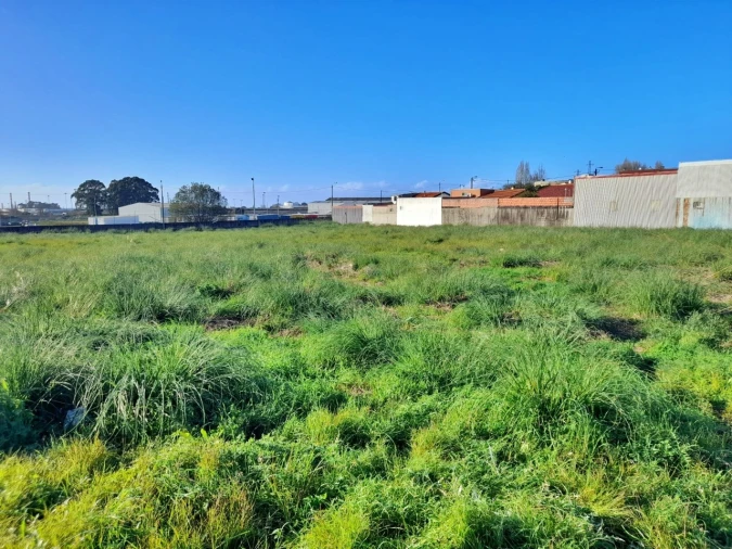 Terreno para Venda em Perafita, Lavra e Santa Cruz do Bispo Foto 5