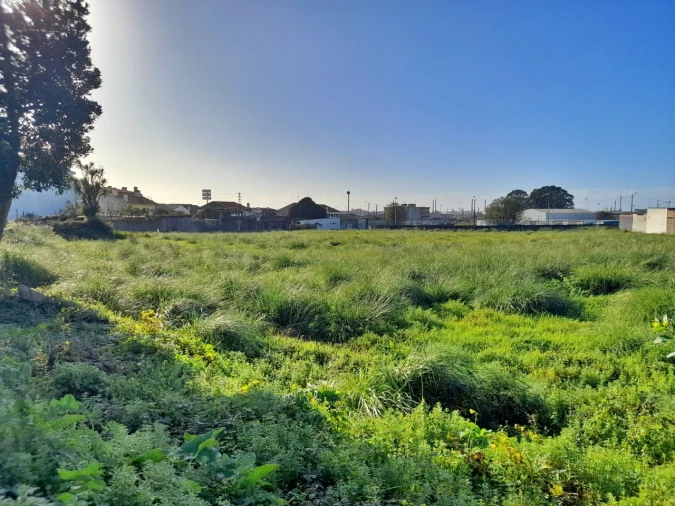 Terreno para Venda em Perafita, Lavra e Santa Cruz do Bispo Foto 8