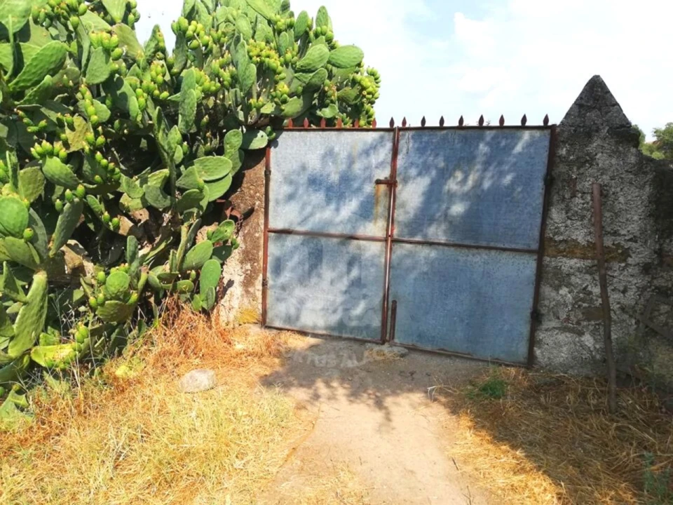 Terreno para Venda em Alagoa Foto 2