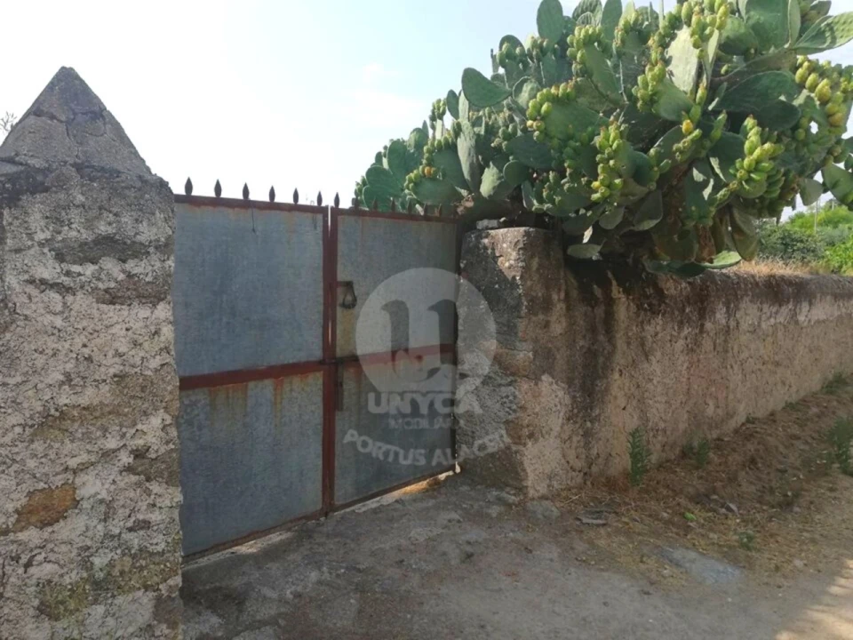 Terreno para Venda em Alagoa Foto 3