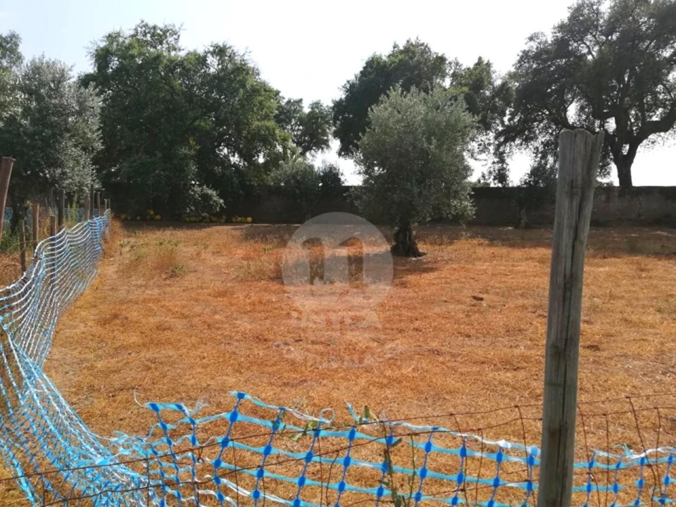 Terreno para Venda em Alagoa Foto 4