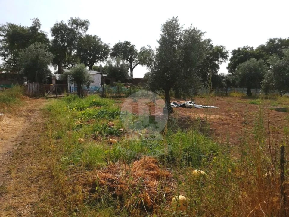 Terreno para Venda em Alagoa Foto 7