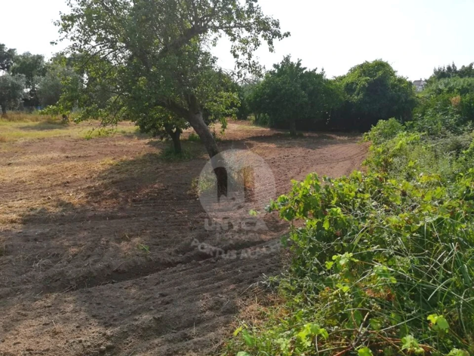 Terreno para Venda em Alagoa Foto 9