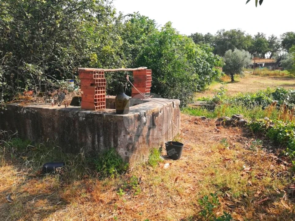 Terreno para Venda em Alagoa Foto 10