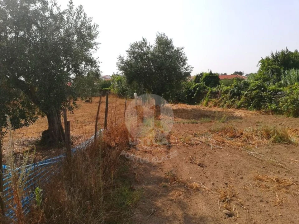 Terreno para Venda em Alagoa Foto 11