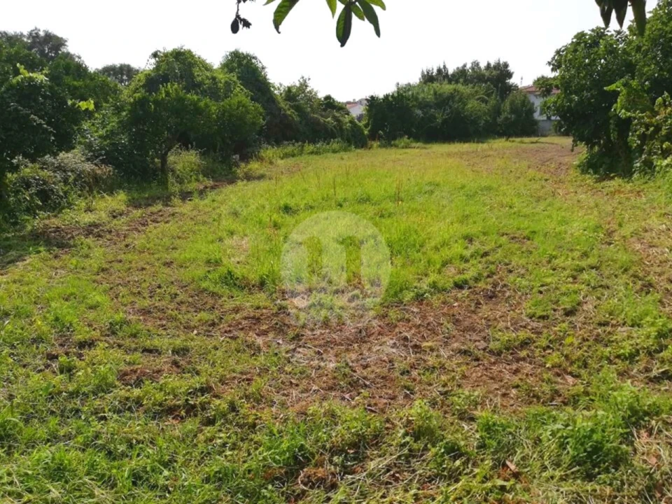 Terreno para Venda em Alagoa Foto 12