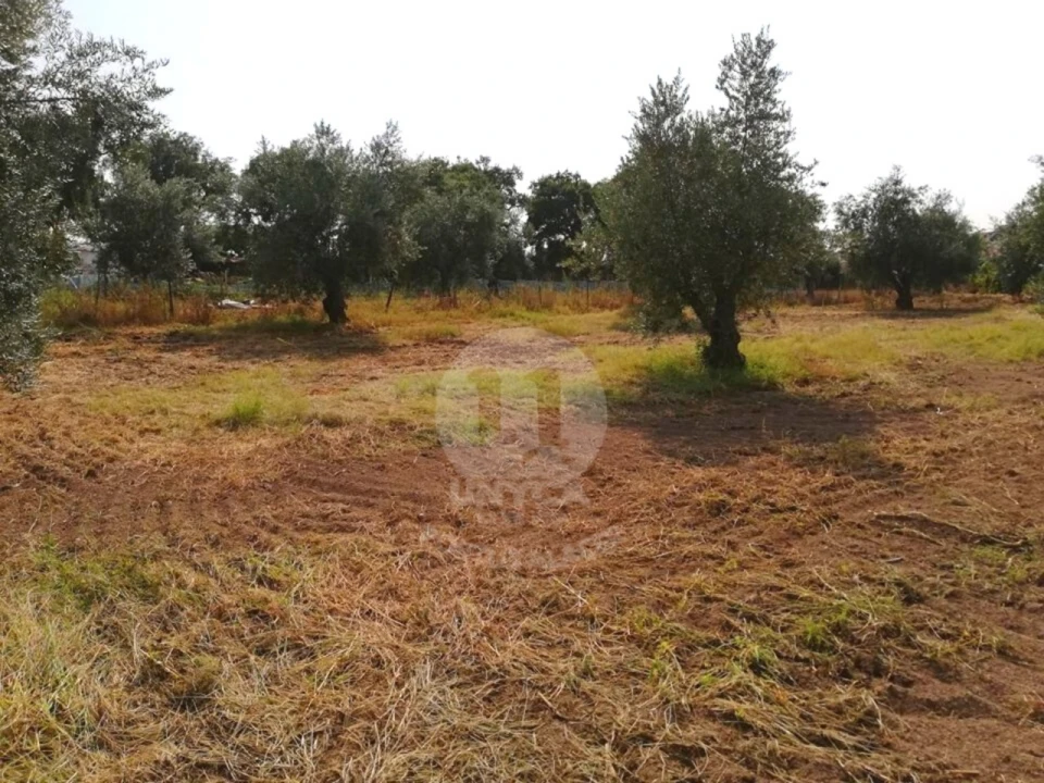 Terreno para Venda em Alagoa Foto 1