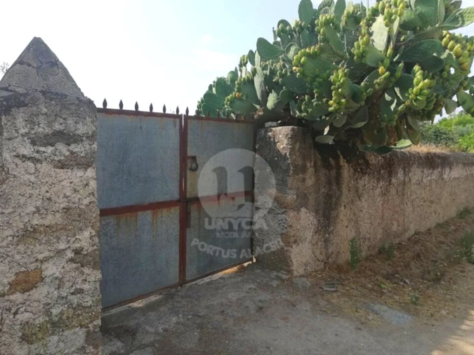 Terreno para Venda em Alagoa Foto 3