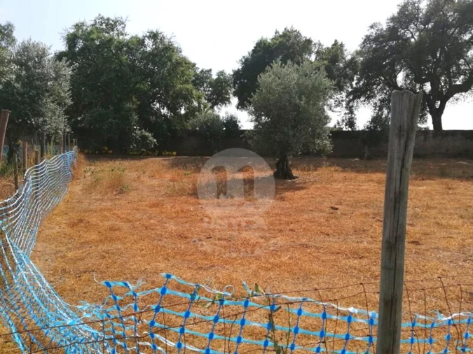 Terreno para Venda em Alagoa Foto 4