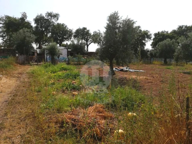Terreno para Venda em Alagoa Foto 7