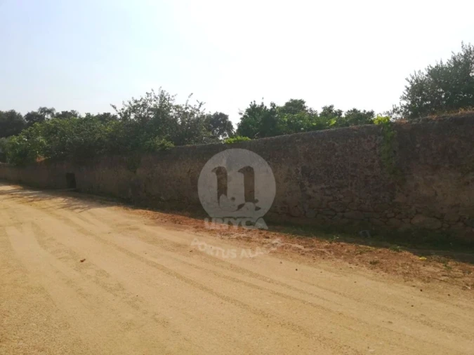 Terreno para Venda em Alagoa Foto 8