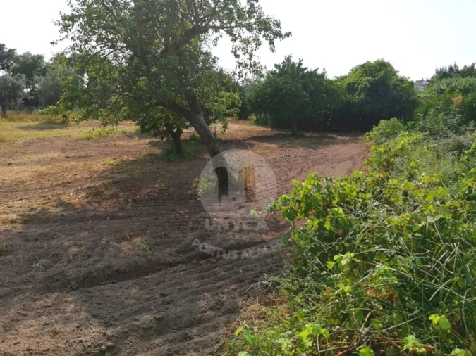 Terreno para Venda em Alagoa Foto 9
