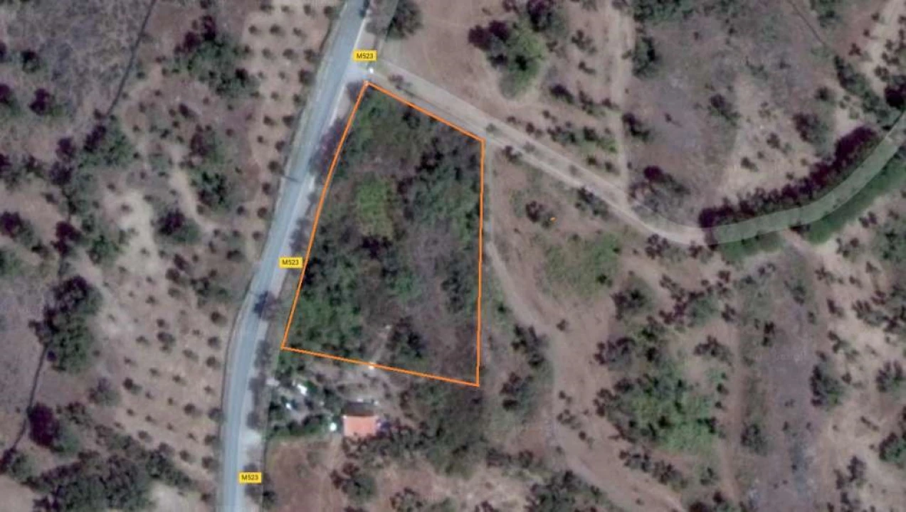 Terreno para Venda em Ribeira de Nisa e Carreiras Foto 1