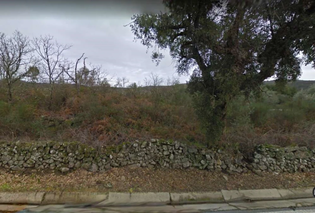 Terreno para Venda em Ribeira de Nisa e Carreiras Foto 3