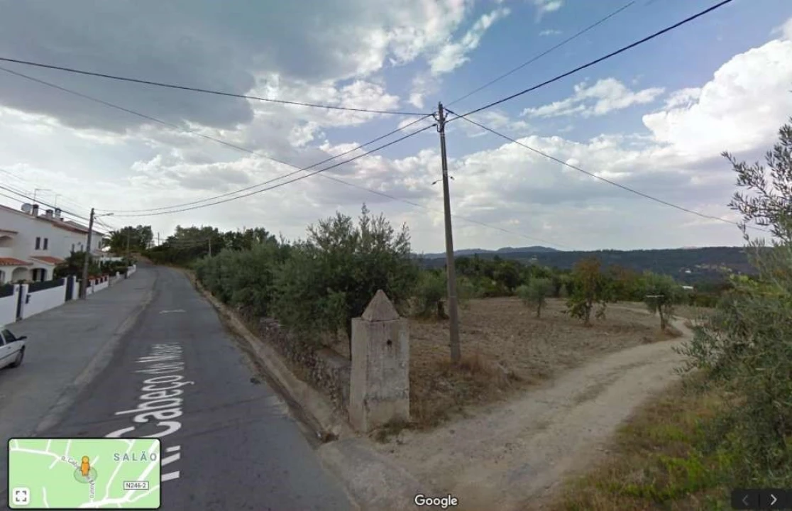 Terreno para Venda em Ribeira de Nisa e Carreiras Foto 3