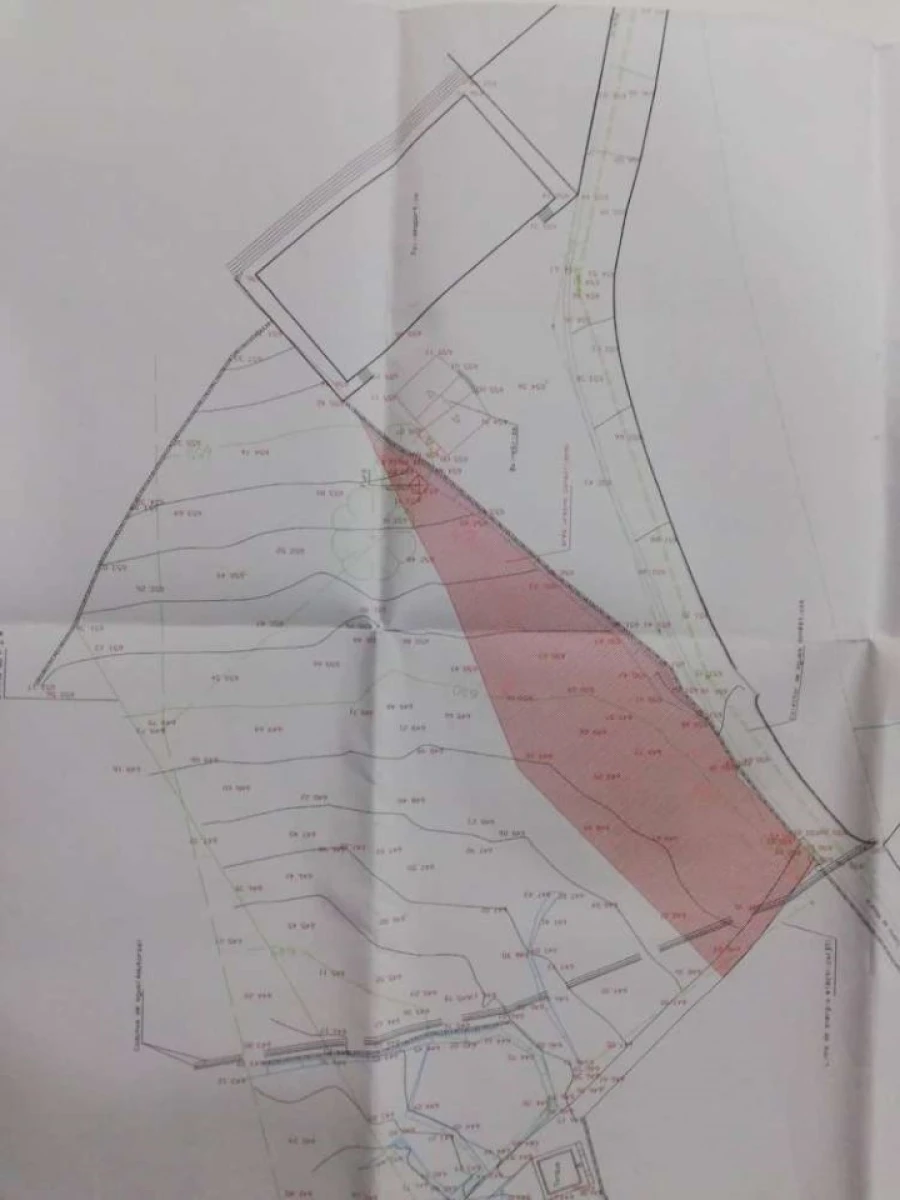 Terreno para Venda em Ribeira de Nisa e Carreiras Foto 4