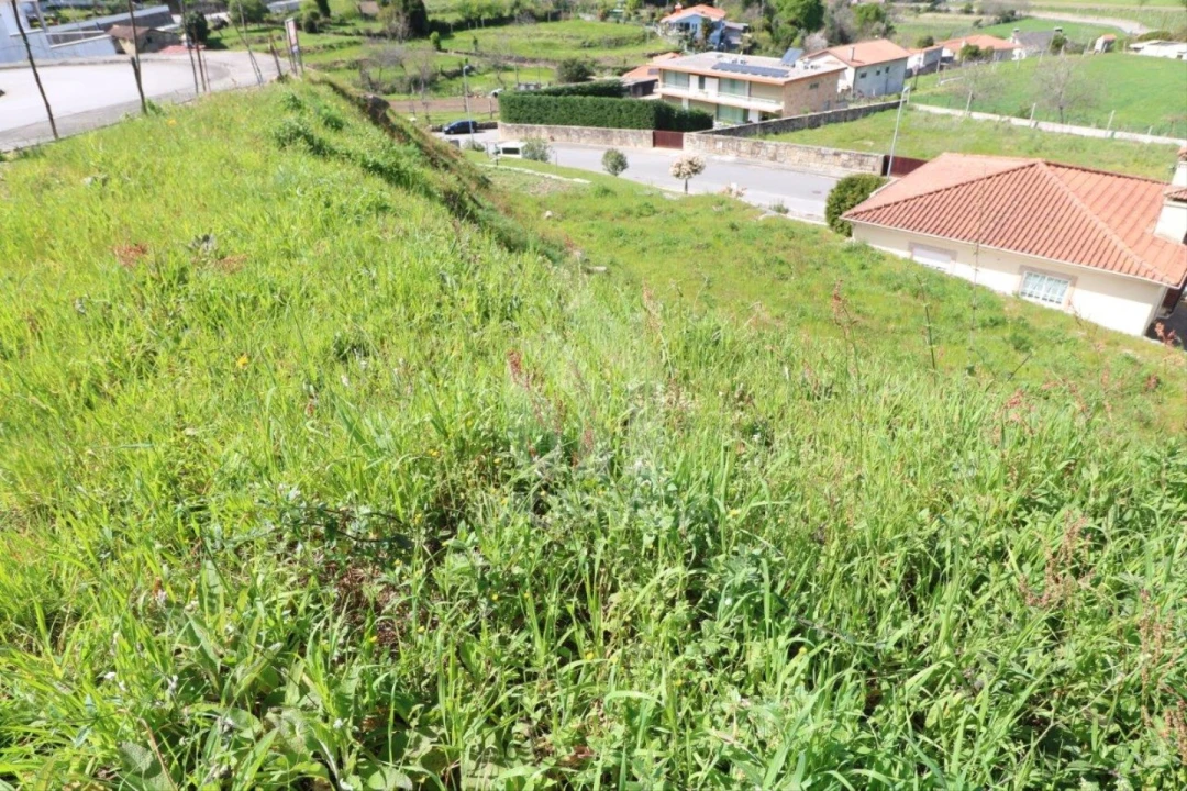 Terreno para Venda em Escudeiros e Penso (Santo Estêvão e São Vicente) Foto 13
